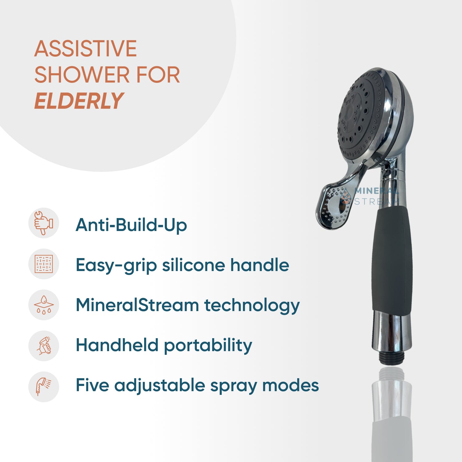 Assistive  Shower Dual Shower System