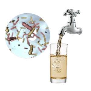 Normal Water